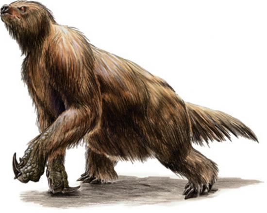 Top 10 Extinct Animals You Didn't Know About - List Ogre